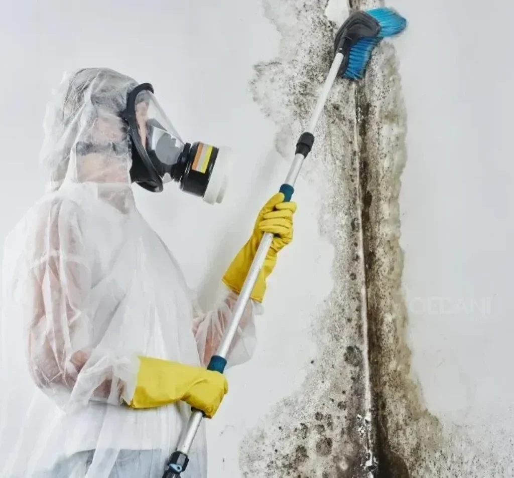 Technician removing mold caused by crawl space moisture in Fort Mill, SC