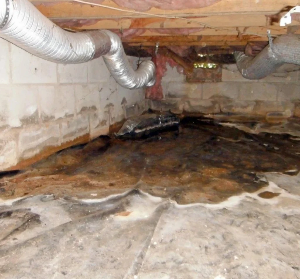 Standing water and moisture damage in a crawl space in Fort Mill, SC