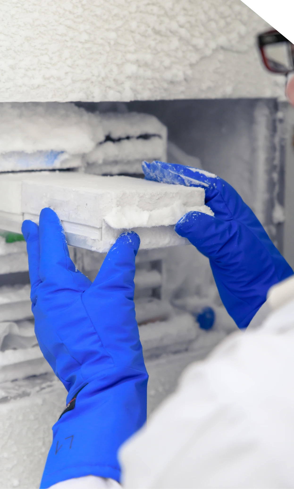 Technician examining polyurethane foam material for injection applications in Fort Mill, SC